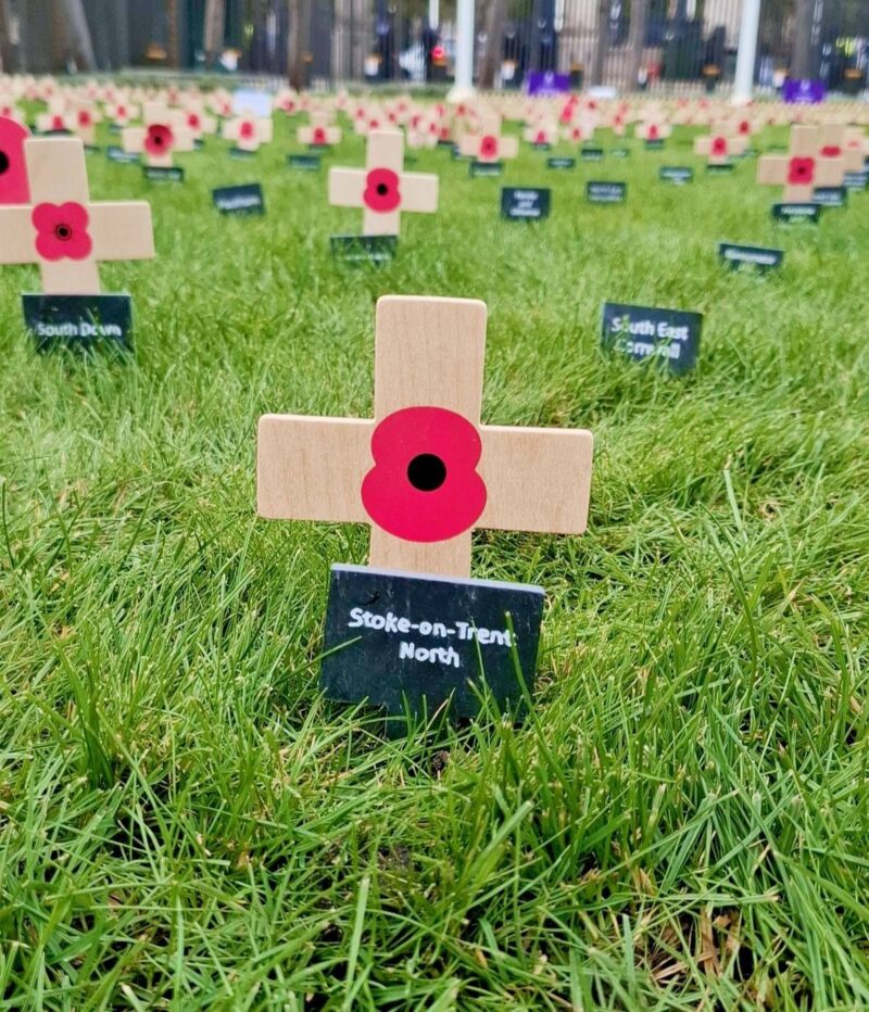 Remembrance Poppy in Parliament